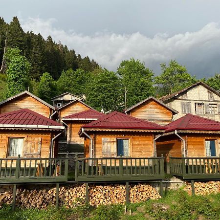 Pilita Bungalov&Rest Яйла-Айдер Экстерьер фото