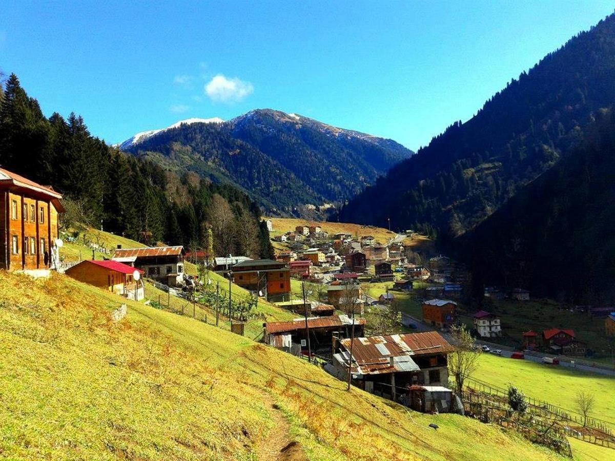 Pilita Bungalov&Rest Яйла-Айдер Экстерьер фото